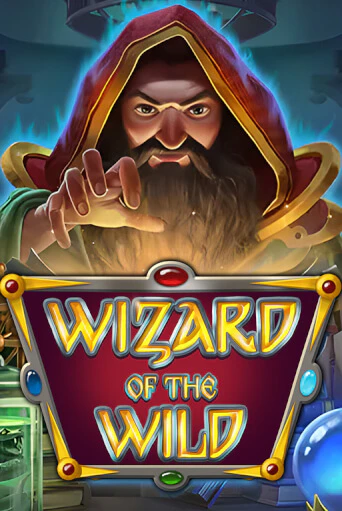 Wizard of the Wild игровой автомат | Казино Кристалл играть бесплатно